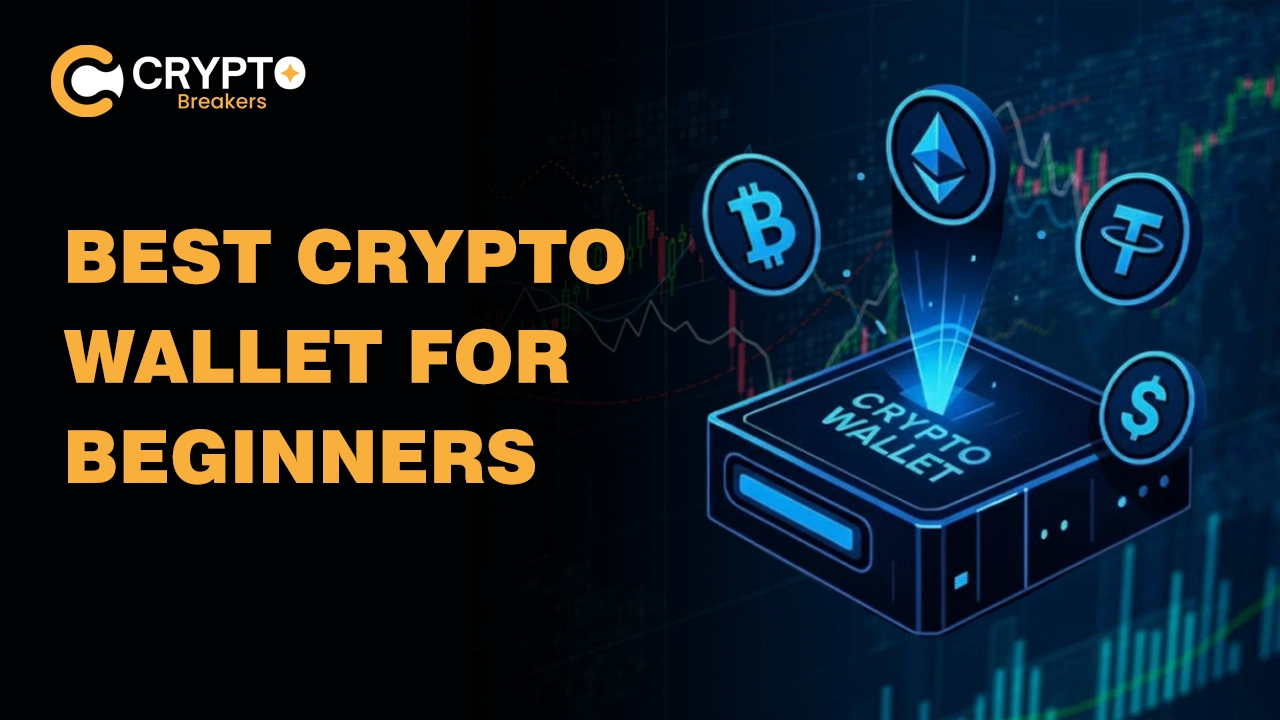 What are the Best Crypto Wallets for Beginners? Top 6 Picks