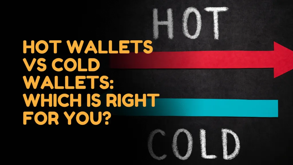 Hot Wallets vs Cold Wallets: Which Should You Choose?