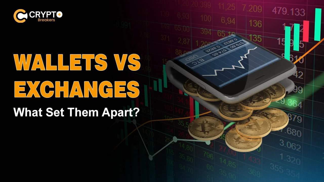 Wallets vs Exchanges: What Sets Them Apart?
