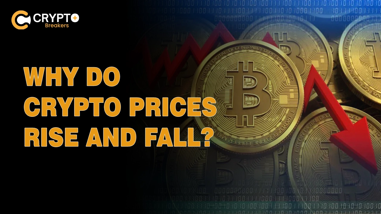 Why Do Crypto Prices Rise and Fall? A Beginner’s Market Guide